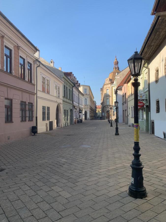 Old Town Apartment Podtatranskeho Kosice Exterior photo